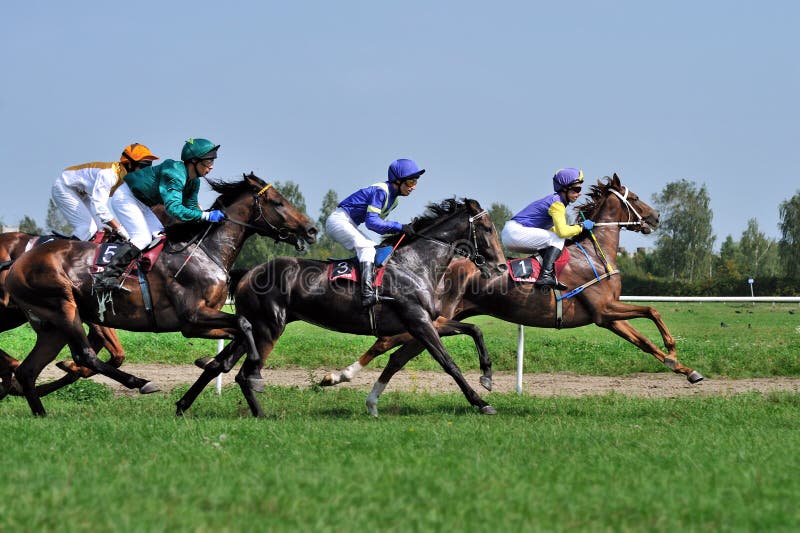 En una carrera de caballos hay muchas